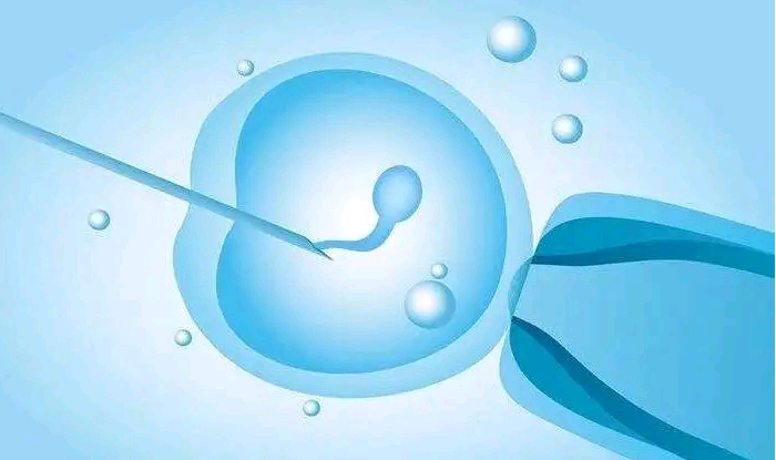 上海哪个医院能代孕,上海供卵试管成功率排名前十医院公布，想供卵生男孩要