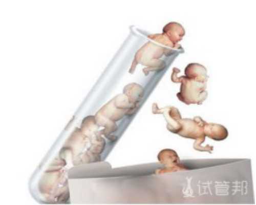 上海代孕产品中心,在上海供卵试管医院生殖中心做试管多少钱？供卵试管价目
