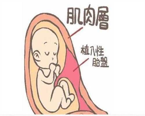 上海代孕包成功生女孩多少钱_上海代生男孩贵吗