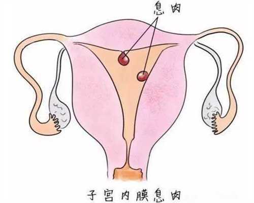上海代孕是怎么操作的_上海代孕公司电话_上海代