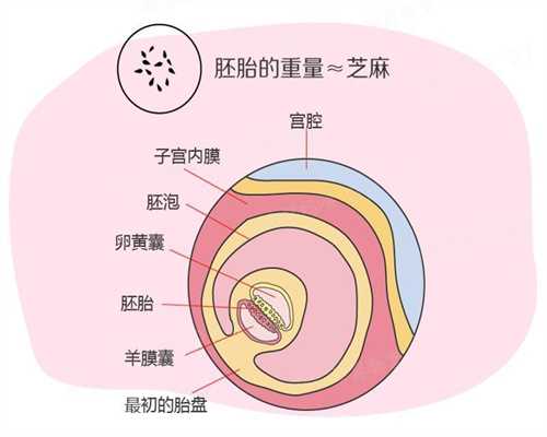 <strong>上海代孕合法化的国家_上海代孕妈妈报名_上海代</strong>
