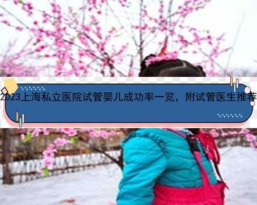 2023上海私立医院试管婴儿成功率一览，附试管医生推
